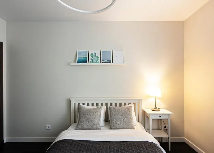 Spacious And Modern With Free Parking Vilnius